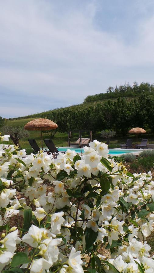 Sotto La Vigna Charm Stay Adults Only Vacation Suite Montegrosso d'Asti Экстерьер фото