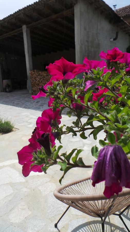Sotto La Vigna Charm Stay Adults Only Vacation Suite Montegrosso d'Asti Экстерьер фото